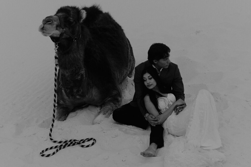 Black and white of couple sitting next to a camel on their elopement day