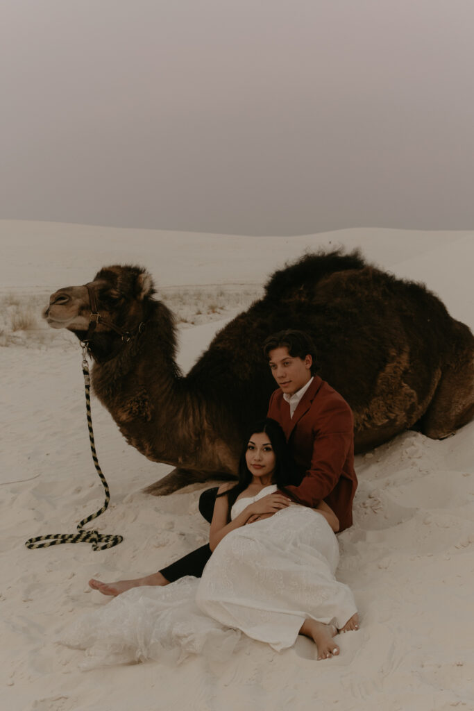 Bride and groom laying against a camel at a desert elopement